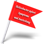 Helicobacter pylori Symptome und Ansteckung Helicobacter pylori Symptome und Ansteckung